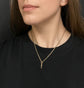 VICTORIAN 9CT GOLD DOUBLE DOG CLIP