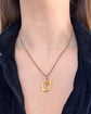 VICTORIAN 18CT GOLD & DIAMOND HORSESHOE PENDANT