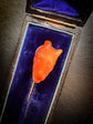 EARLY 19TH CENTURY CORAL GREYHOUND STICKPIN