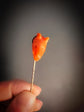 EARLY 19TH CENTURY CORAL GREYHOUND STICKPIN