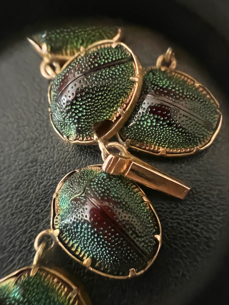 Scarab beetle jewelry clearance
