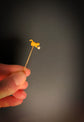 VICTORIAN 18CT GOLD CAT STICKPIN