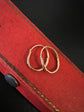 GEORGIAN OUROBOROS SNAKE HOOPS