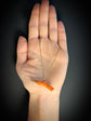 19TH CENTURY CORAL DOG WATCH KEY PENDANT