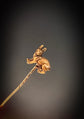VICTORIAN 15CT GOLD BUNNY STICKPIN
