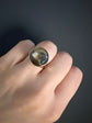 WILLIAM ESSEX DOG RING