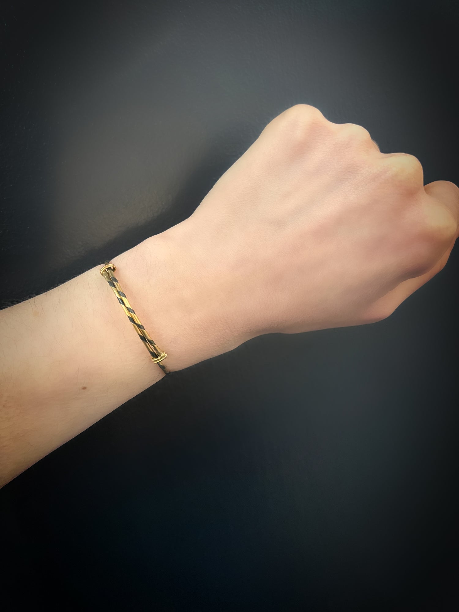 Bracelet elephant 2025 hair gold