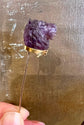 VICTORIAN CARVED AMETHYST LION STICKPIN