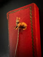 VICTORIAN 15CT GOLD BUNNY STICKPIN
