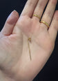 VICTORIAN GOLD TINY FOX PIN